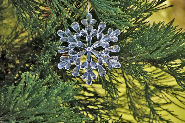 Saisonende für den Weihnachtsbaum